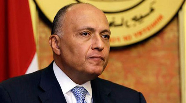 Egypt foreign minister