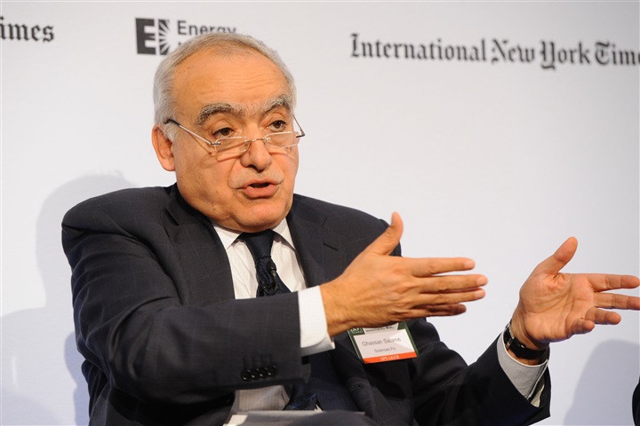Newly-appointed envoy