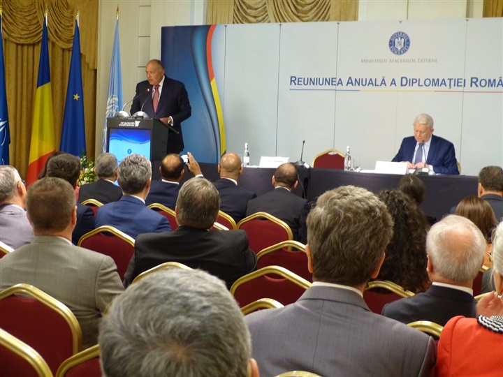 Egypt's FM addressing